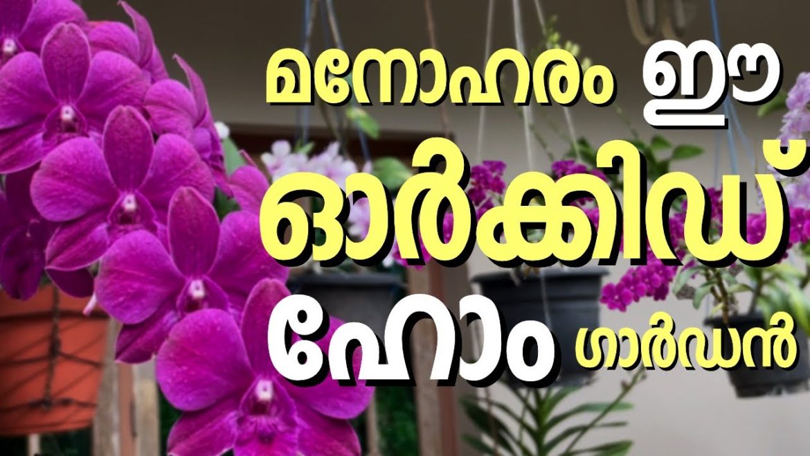 Garden Tour Malayalam/Beutiful Orchid Garden/Creative Garden Ideas/Garden design ideas/ G4Garden Garden Tour Malayalam/Beutiful Orchid Garden/Creative Garden Ideas/Garden design ideas/ G4Garden