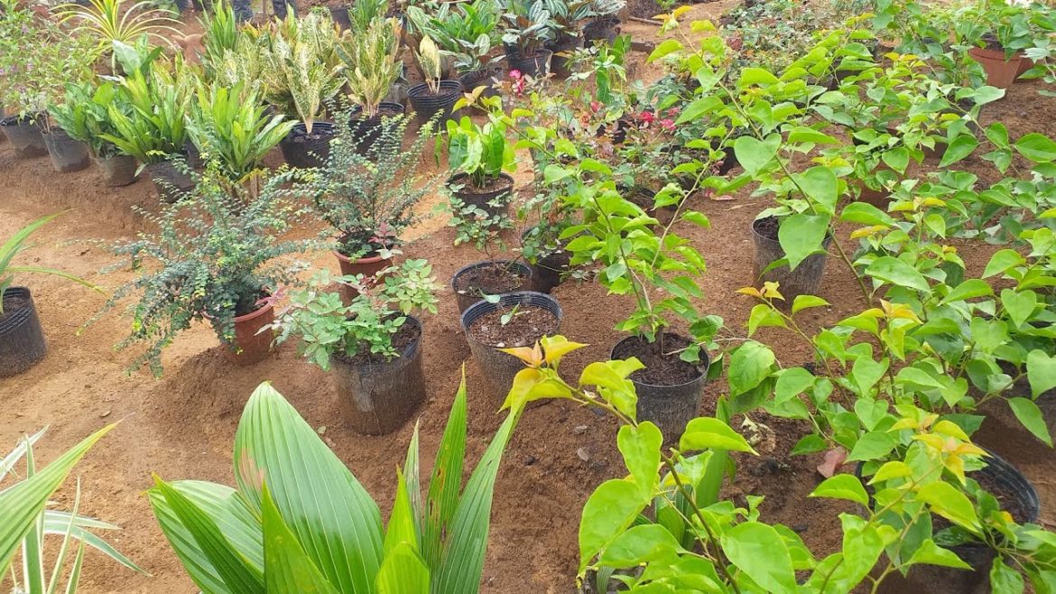 MANMADE FLOWERS GARDEN LANDSCAPING | Part 1 | Version 1 MANMADE FLOWERS GARDEN LANDSCAPING | Part 1 | Version 1