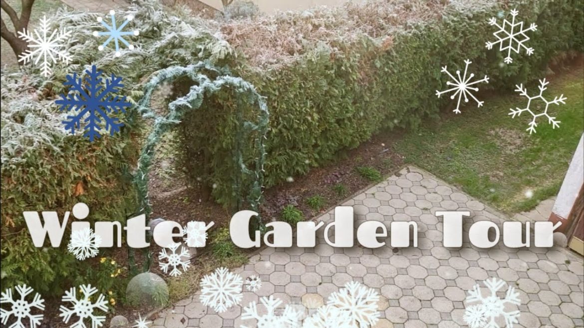 A Realistic Winter Garden Tour // Croatia ðŸ‡ðŸ‡· // Zone 7 // December 2022 A Realistic Winter Garden Tour // Croatia ðŸ‡ðŸ‡· // Zone 7 // December 2022