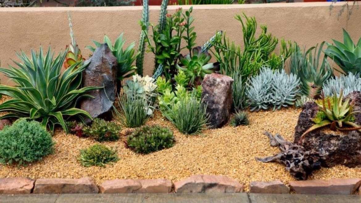 Desert or Southwest Landscaping Ideas