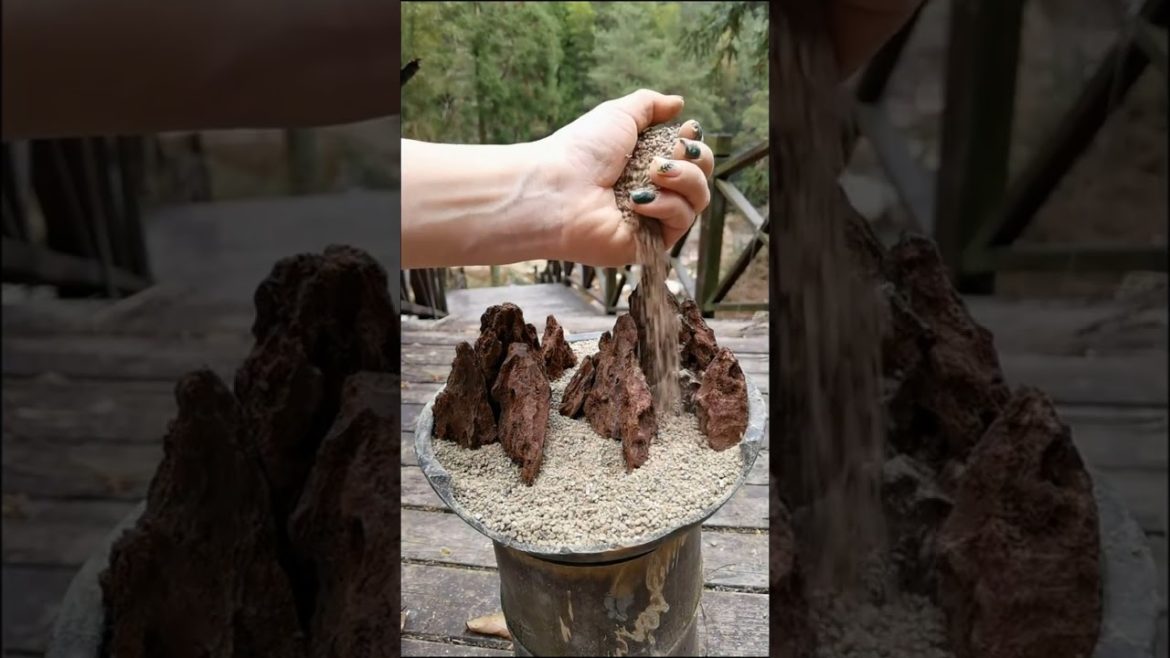 Amazing Innovation Ideas | Miniature Gardening DIY at Home | Trash Recycling | Ep 17 #shorts