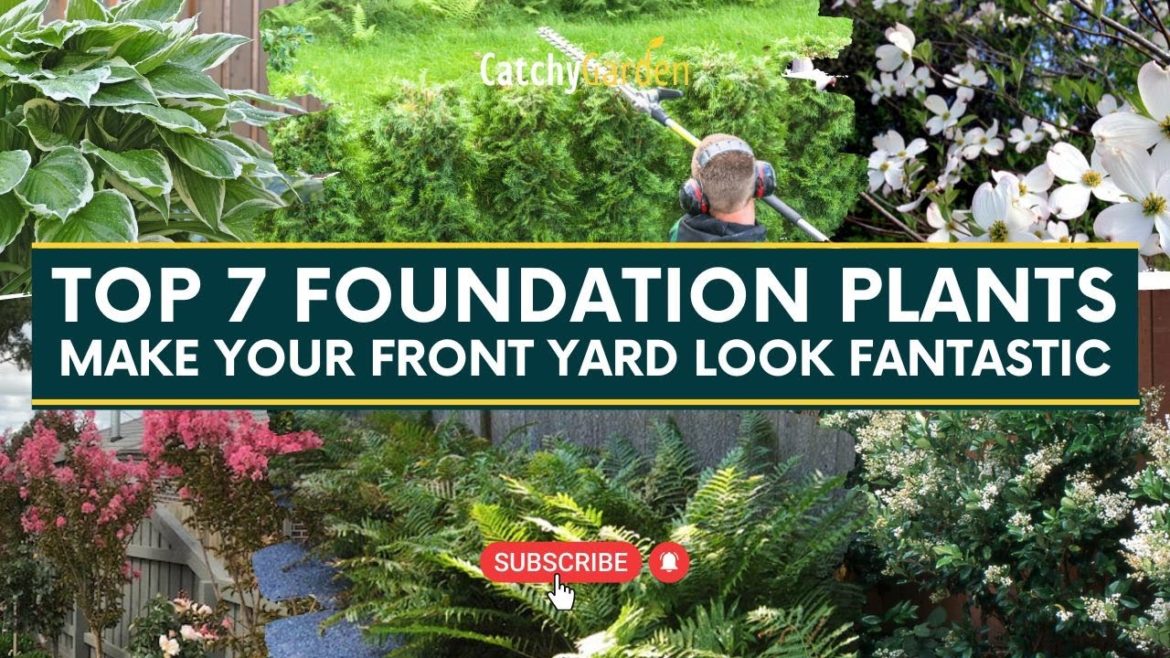 7 Foundation Plants for a Beautiful Front Yard 🌷🌿 // Gardening Tips 7 Foundation Plants for a Beautiful Front Yard 🌷🌿 // Gardening Tips