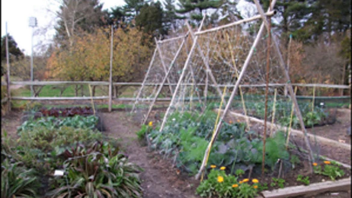 Gardening Without Irrigation: or without much, anyway by Steve SOLOMON | Full Audio Book