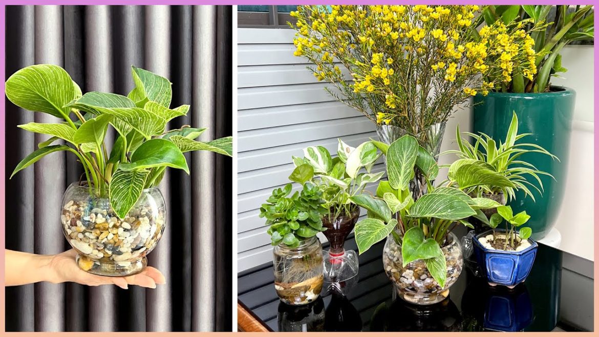 Simple ideas to bring nature into your home to help purify the air