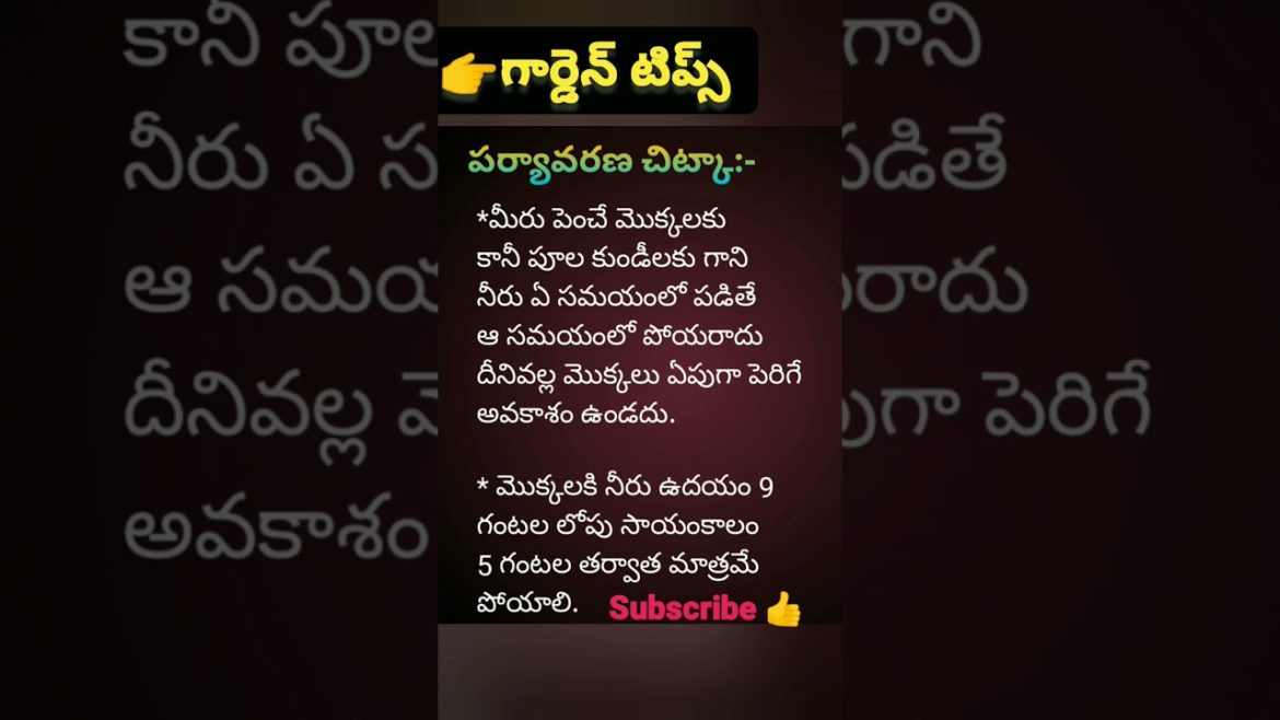 పర్యావరణ చిట్కాలు// garden tips//garden tips in Telugu 👍//Like, share, press 🔔//subscribe