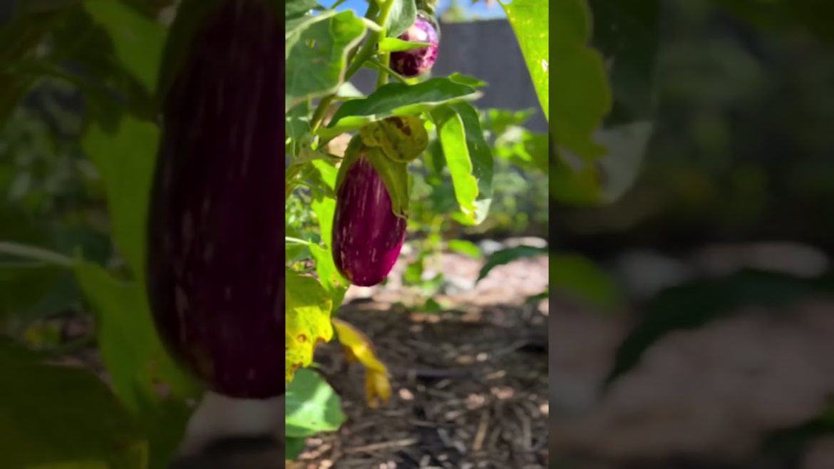 As we move into 2023 🧡 As we move into 2023 🧡