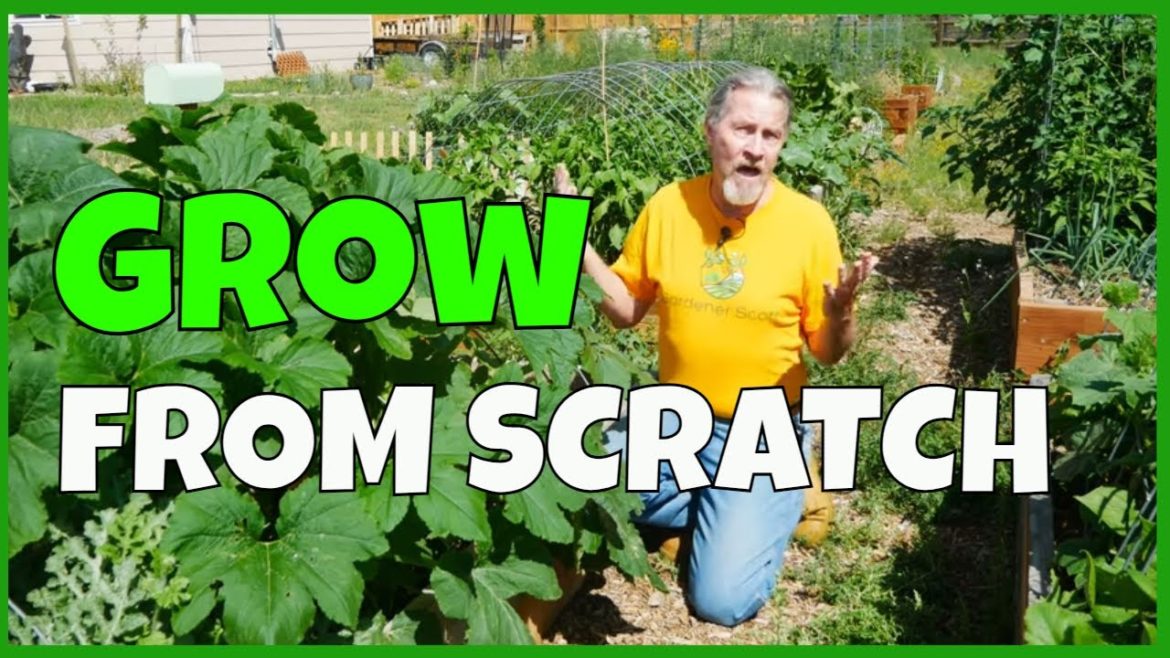 How to Start a Garden in 2023 (from Scratch) How to Start a Garden in 2023 (from Scratch)