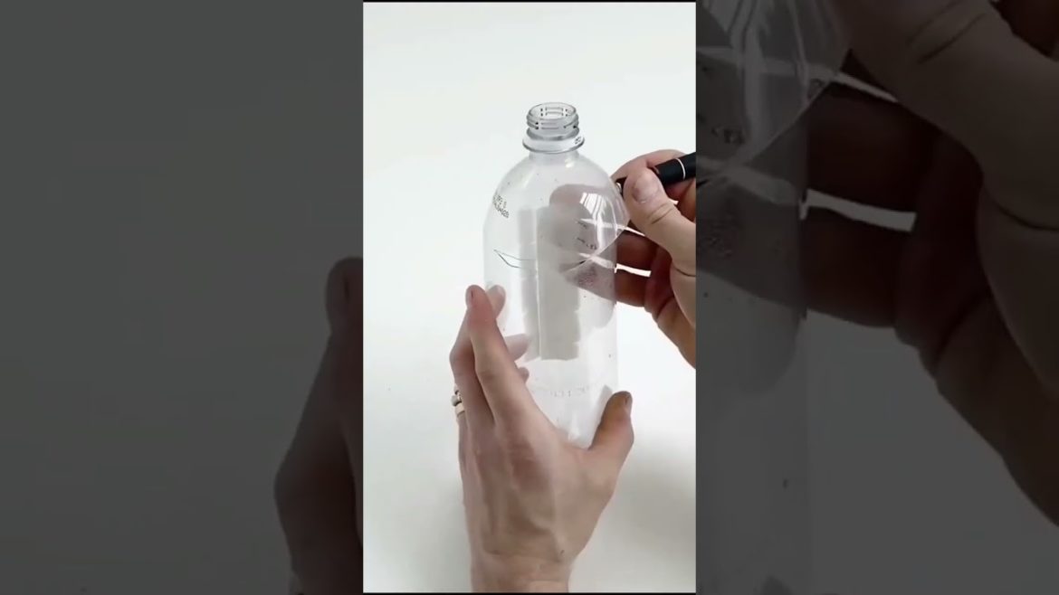 Rose propagation for beginners #shorts #gardening #organic #grafting #rose #rosegrafting #rosé