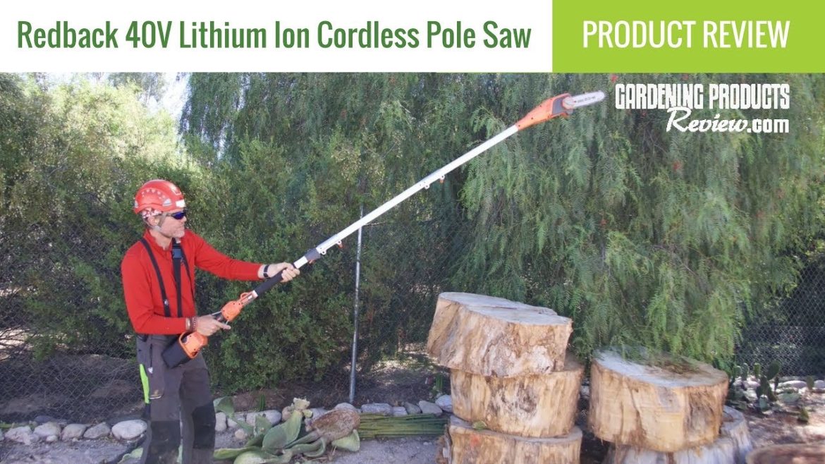 Redback 40V Li-Ion Pole Chainsaw Review | Gardening Products Review