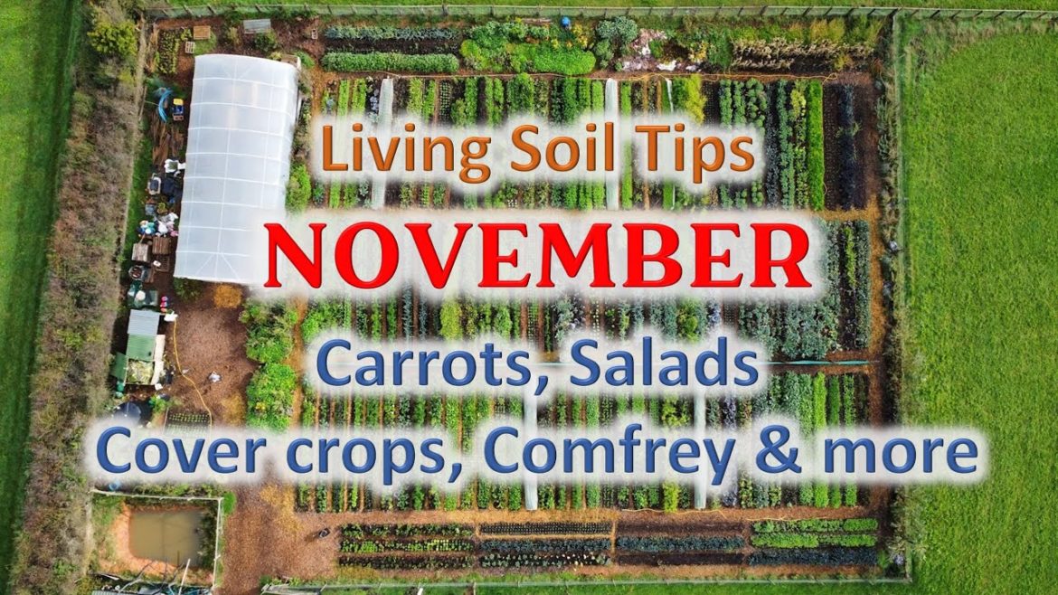 No-Dig Gardening Seasonal Tips – November No-Dig Gardening Seasonal Tips - November