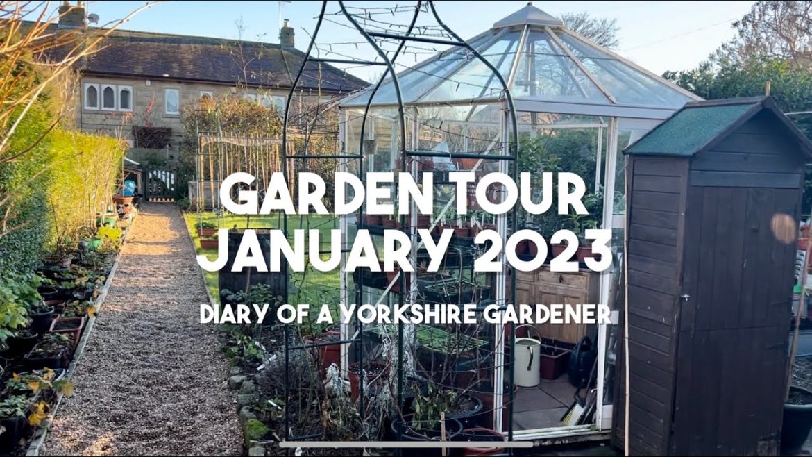 Winter Garden Tour | January 2023 | Diary of a Yorkshire Gardener Winter Garden Tour | January 2023 | Diary of a Yorkshire Gardener