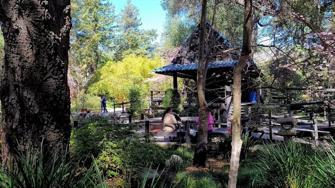 Walking tour of the Japanese Garden at Descanso Gardens in La Cañada Flintridge Walking tour of the Japanese Garden at Descanso Gardens in La Cañada Flintridge