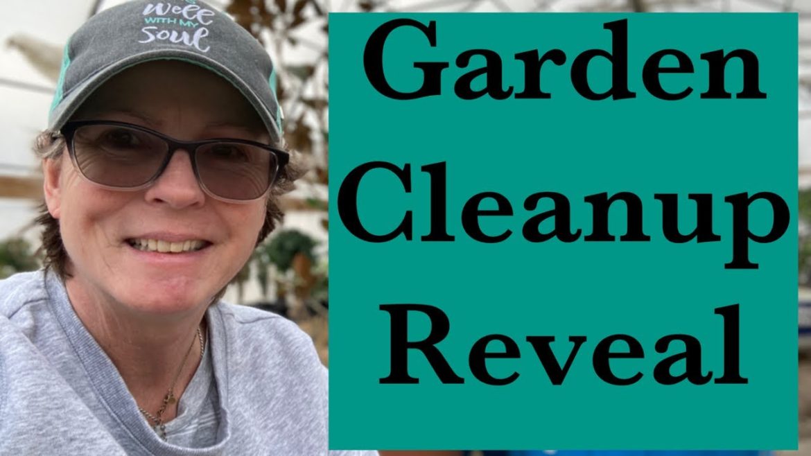 Garden update! What did I find?