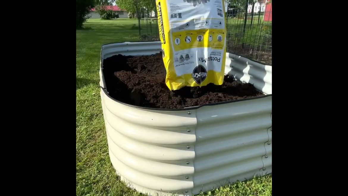 Check Out This Product: Olle Garden Bed