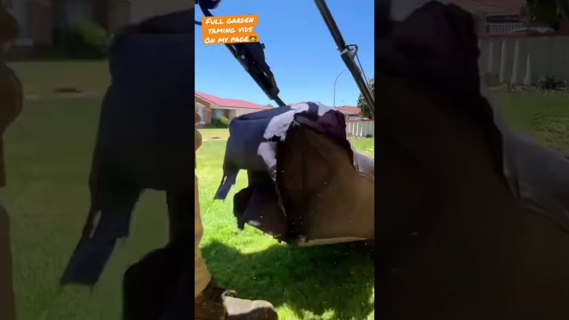 This overgrown lawn gets a Haircut…