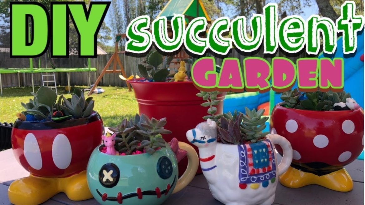 EASY PROJECT | simple succulent container garden