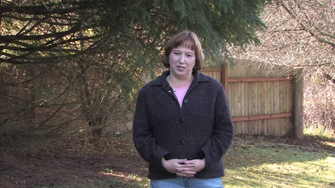 Gardening Tips & Tricks : How to Choose a Soil Amendment