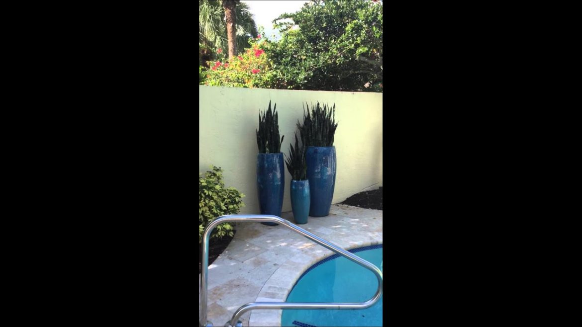 Container Garden for Delray Beach Pool Landscape