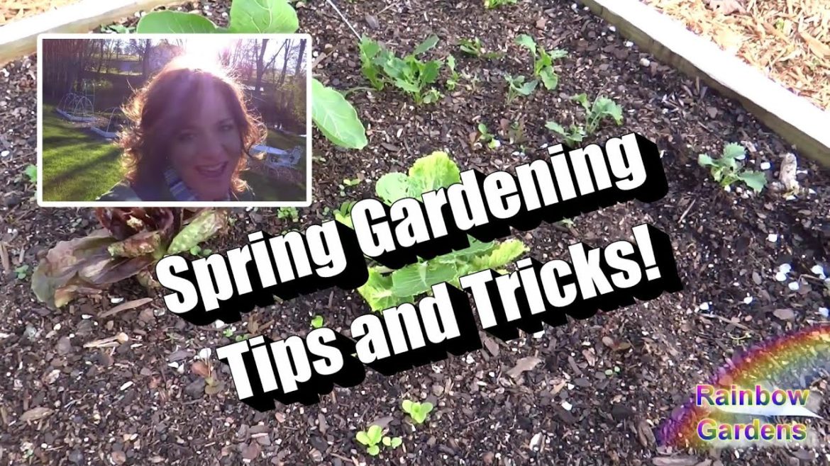 More Than 7 Spring Garden Tips and Tricks! 2 Best Spring Herbs from Seed, SFG Planting Tool, MORE!