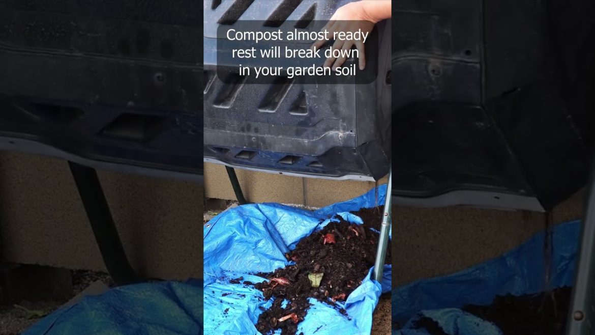 California Gardening: Composting : The benefits of using compost #shorts Composting : The benefits of using compost #shorts