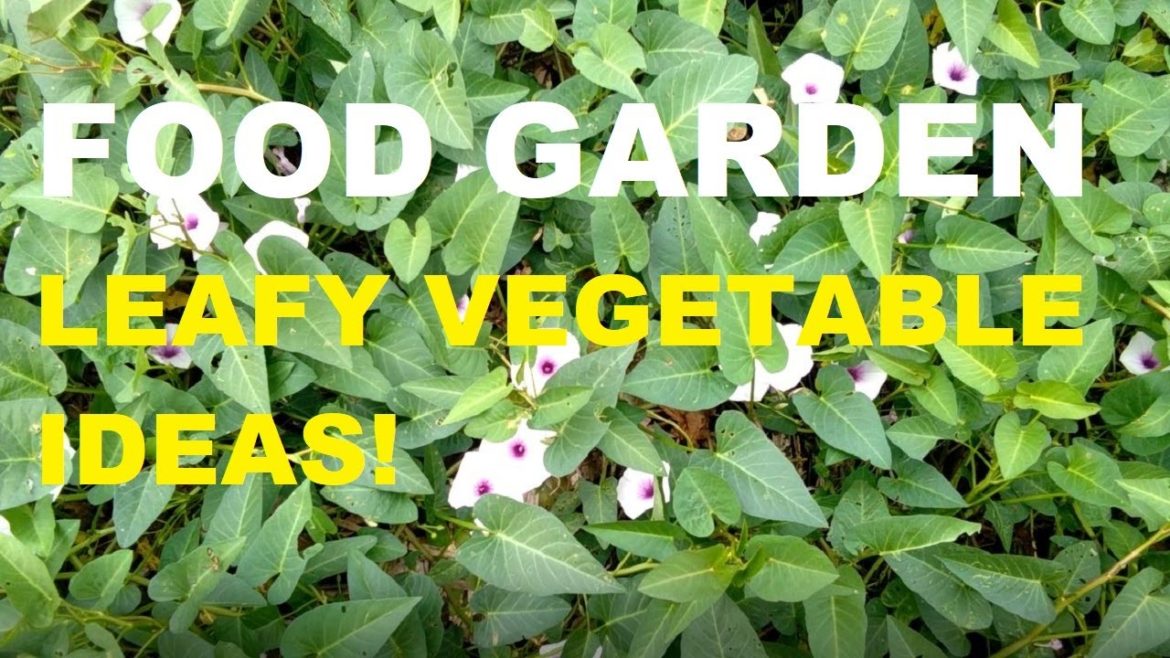 FOOD GARDEN | LEAFY VEGETABLES | GARDENING PHILIPPINES FOOD GARDEN | LEAFY VEGETABLES | GARDENING PHILIPPINES