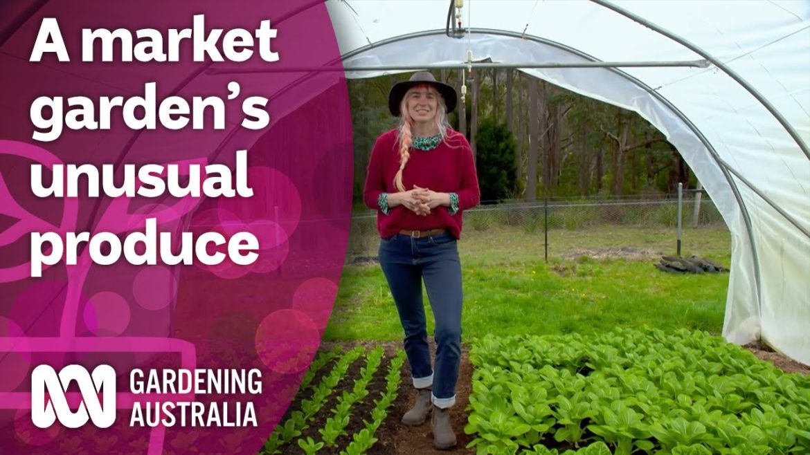 A market garden producing heirloom and unusual vegetable varieties | Discovery | Gardening Australia A market garden producing heirloom and unusual vegetable varieties | Discovery | Gardening Australia