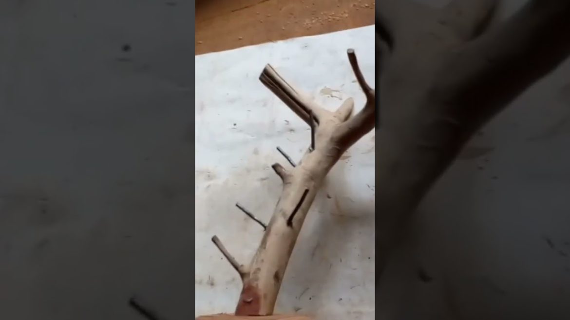 Mordern holder/wood rack👍 #shorts #short #shortvideo