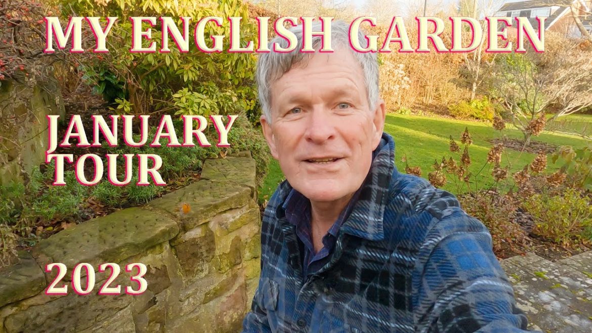 Early January Tour and Hand Feeding my Robin – My English Garden – 2023 Early January Tour and Hand Feeding my Robin - My English Garden - 2023