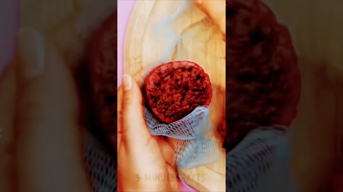 plants growing tips Gardening ideas for home #virul #trendingvedio #shortvideo #  علم کی دنیا