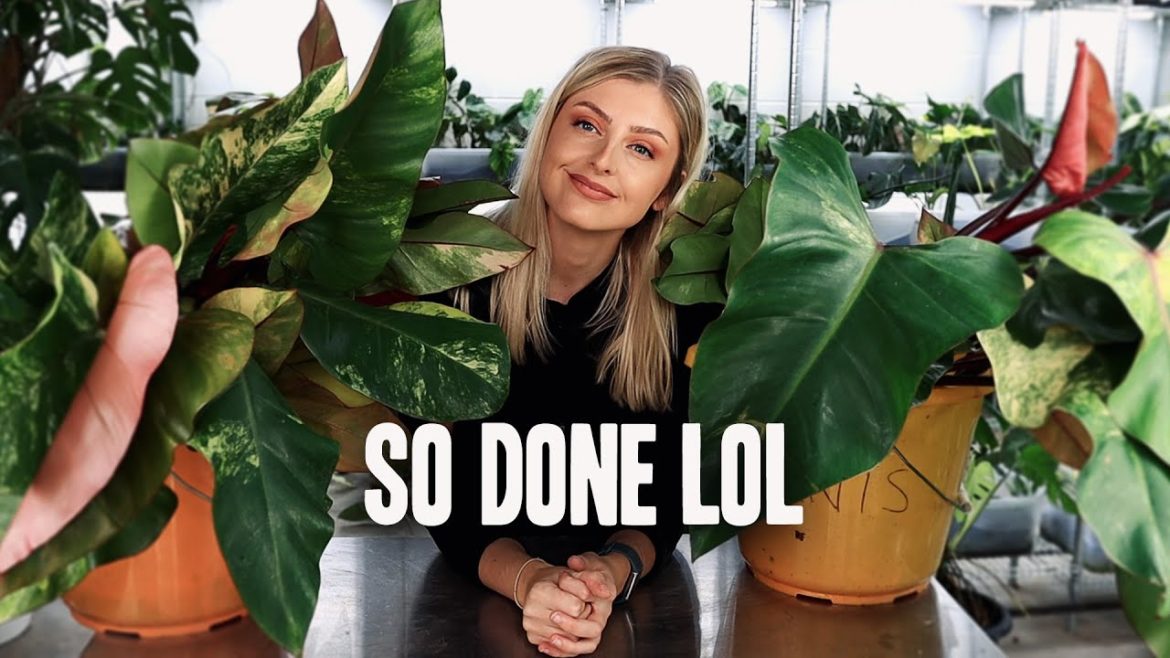 I was robbed! | Repot With Me