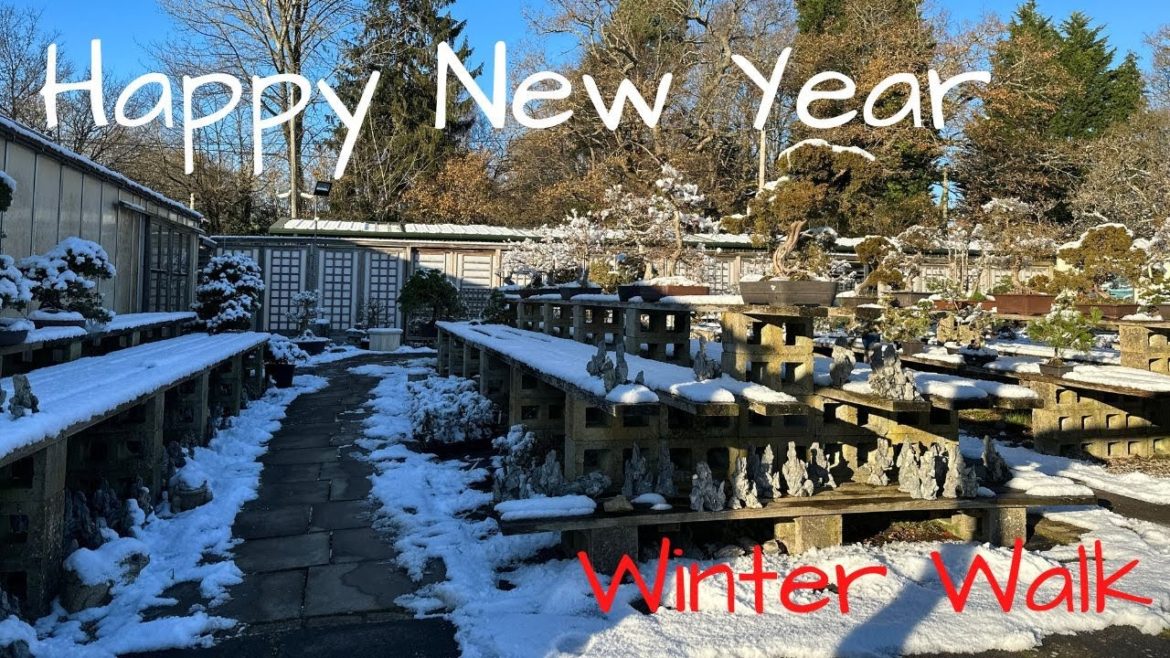 Happy New Year - Winter Wonderland