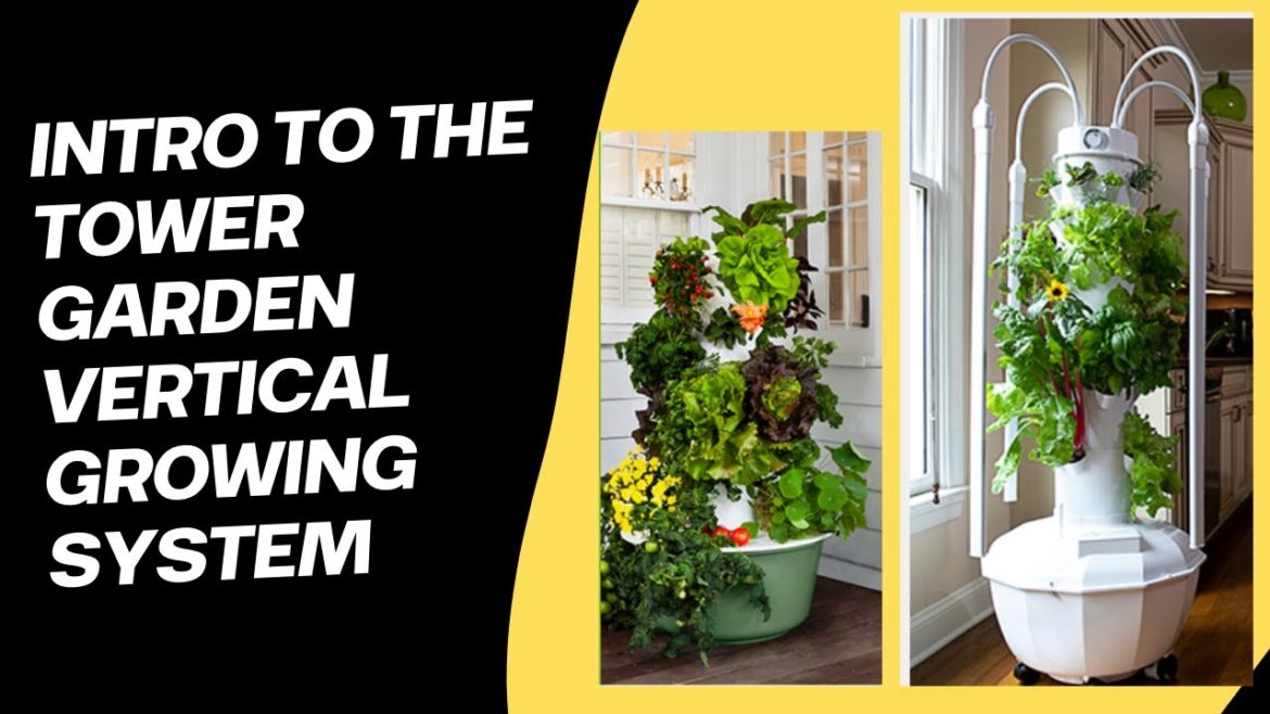 Tower Garden Intro | Tower Garden Vertical Growing System #towergarden Tower Garden Intro | Tower Garden Vertical Growing System #towergarden
