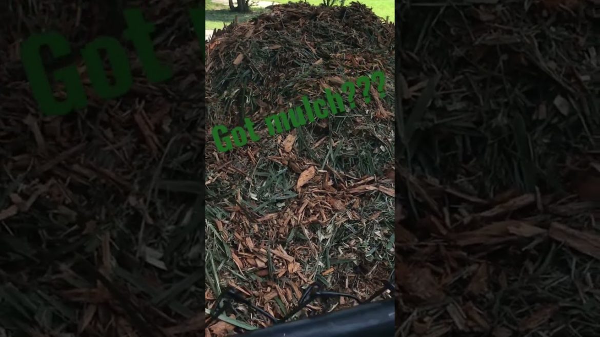 Get FREE mulch with ChipDrop in Central Fla!  #shorts #garden #gardening #permaculture