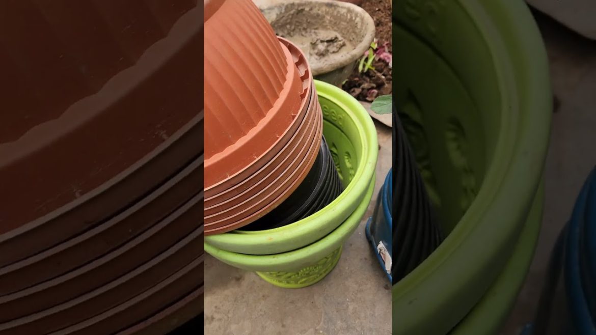 Plastic Pot Shopping👏@Idrisibuttonstore