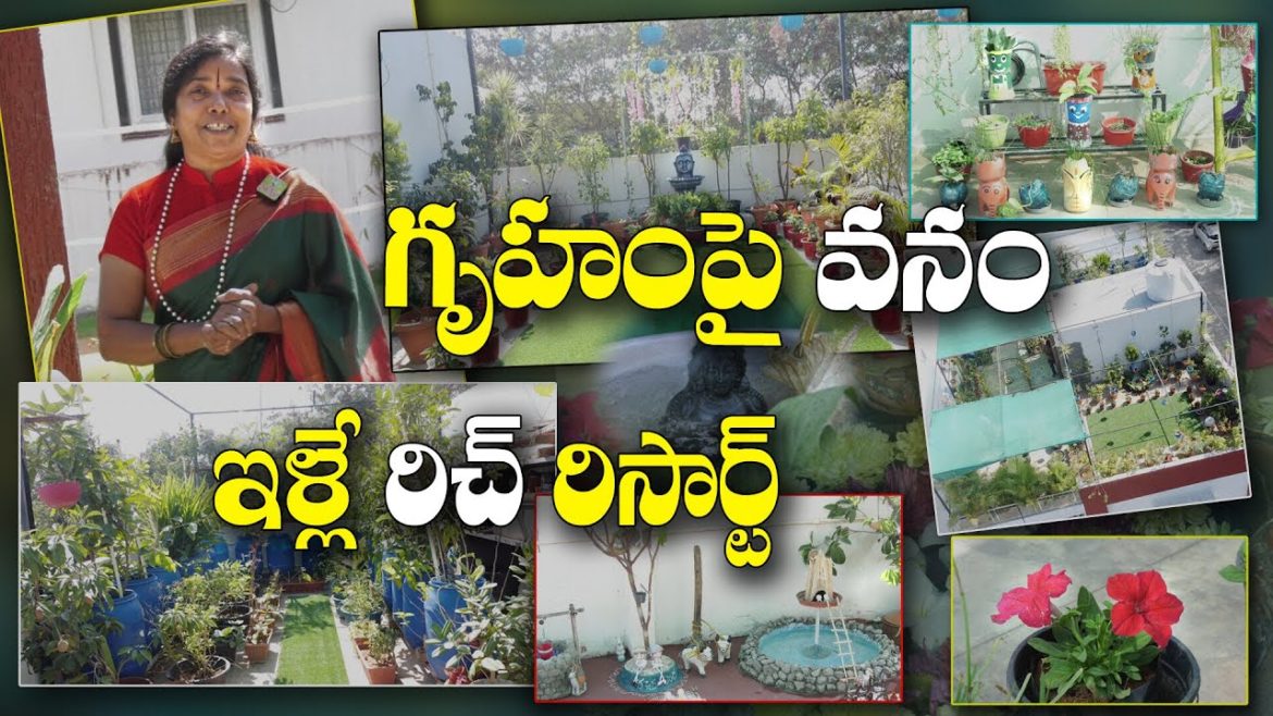 ఇంటి మేడపైనే ప్రకృతి రిసార్ట్ సృష్టి | Resort Terrace Garden | Kothapalli Shobha