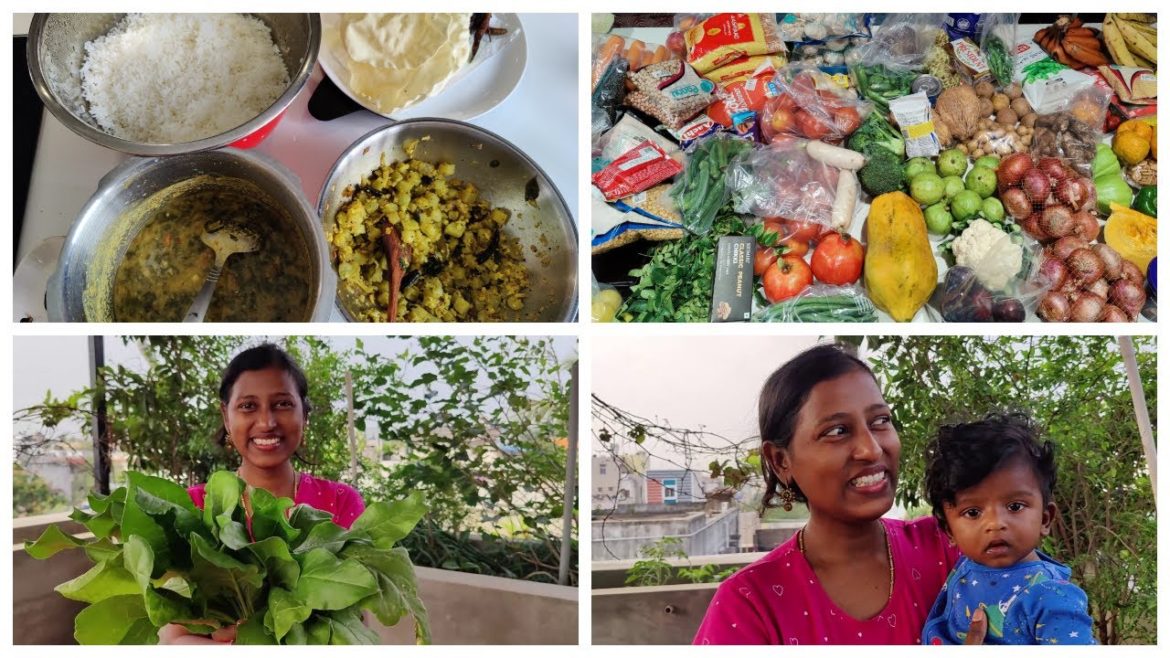 Huge grocery shopping haul for a family of 10/Terrace garden harvest and cooking Huge grocery shopping haul for a family of 10/Terrace garden harvest and cooking