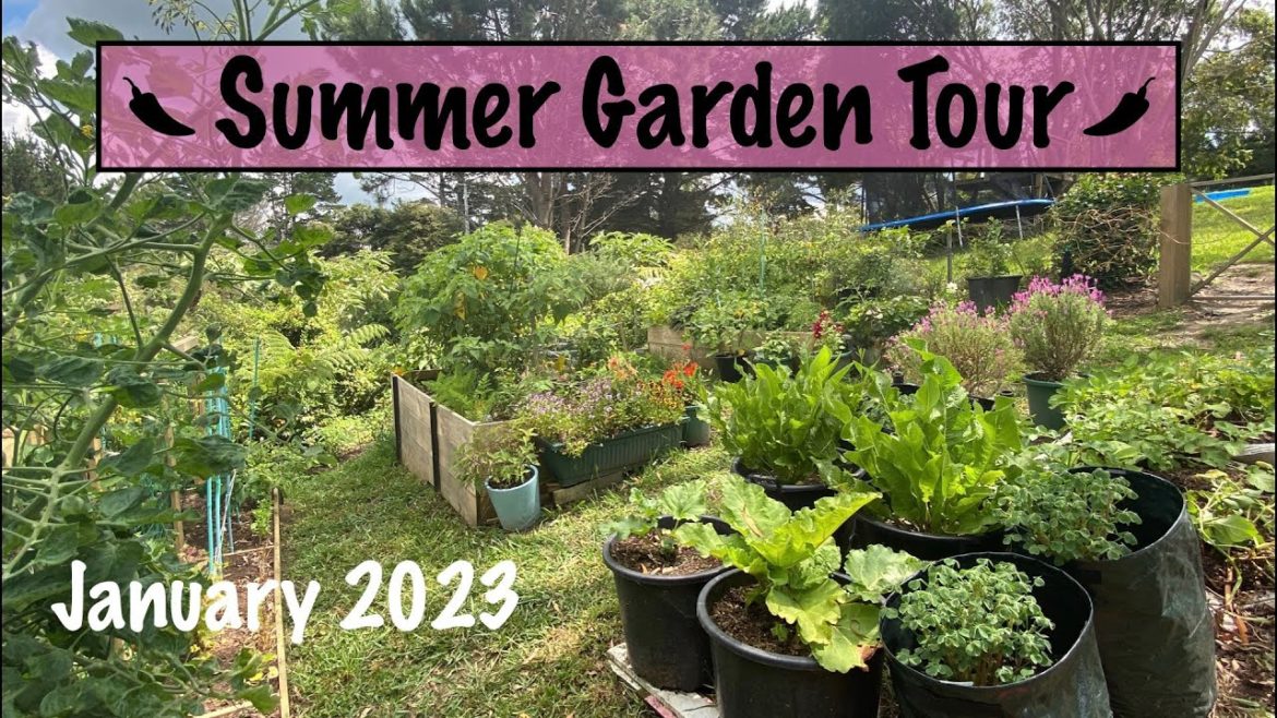 Garden Tour January 2023 Garden Tour January 2023