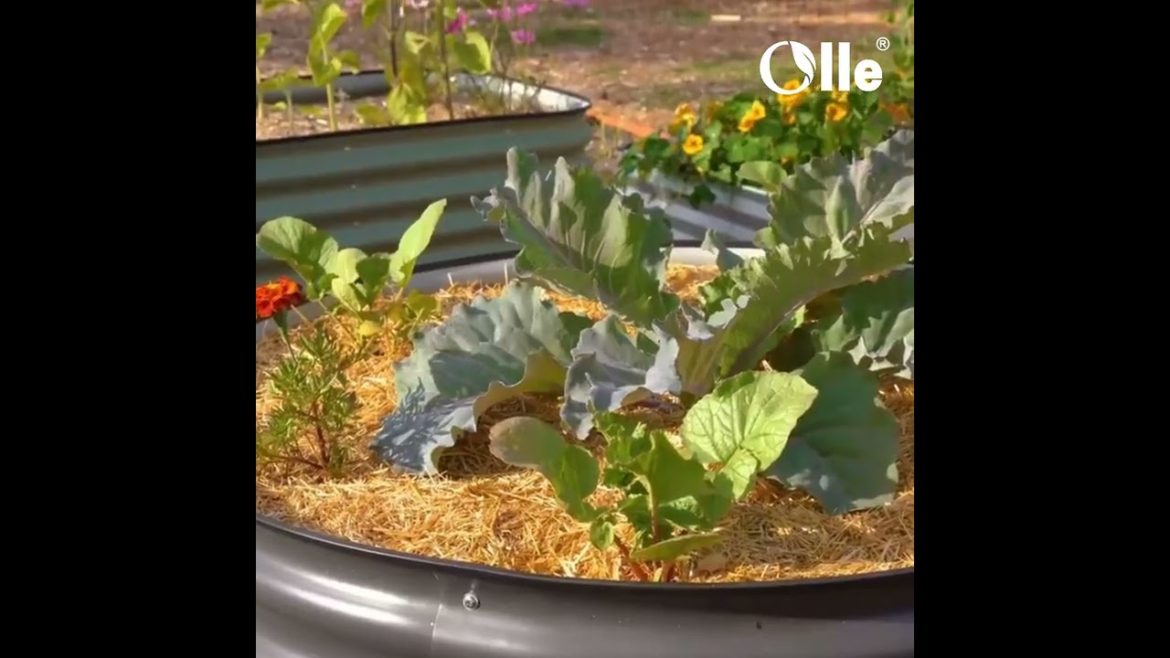 He Expert's Guide to raised garden bed, An Unpopular Opinion About raised garden bed-OLLEUSA