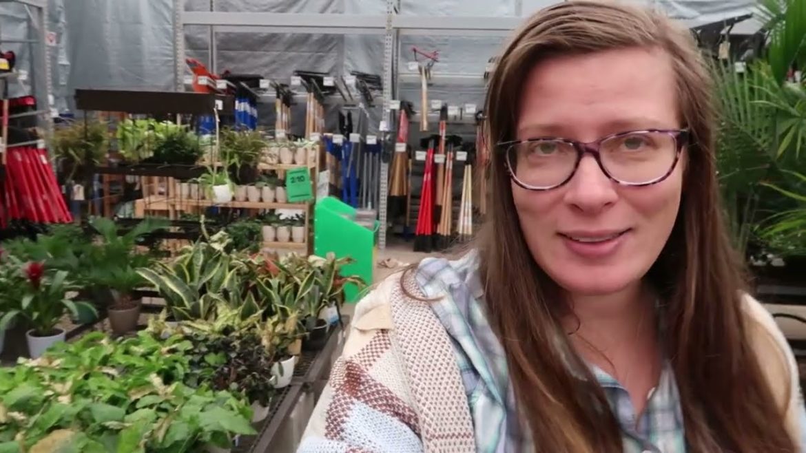 🪴❄️ Cold Damage Recovery: Part 2 of 2🪴❄️ New LiveTrends, Tropics and Wick & Grow Displays!