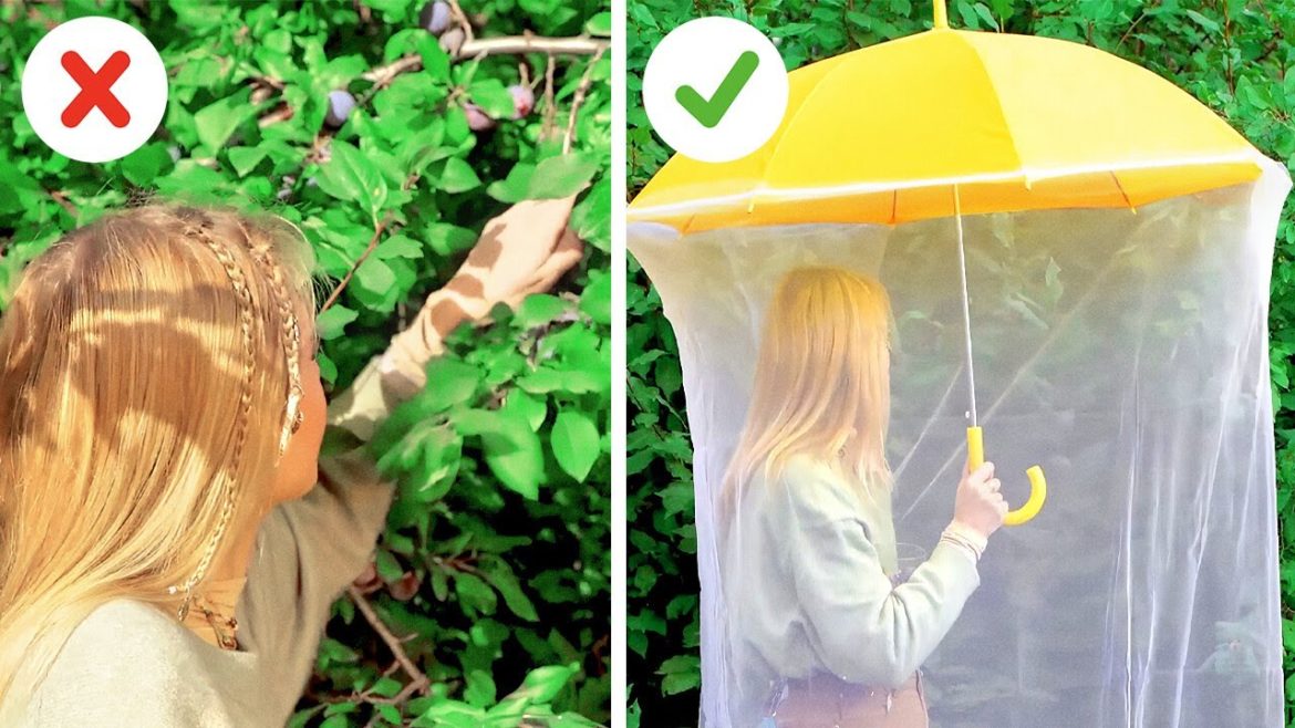 USEFUL PEST CONTROL TO PROTECTS YOUR GARDEN AND HOUSE USEFUL PEST CONTROL TO PROTECTS YOUR GARDEN AND HOUSE