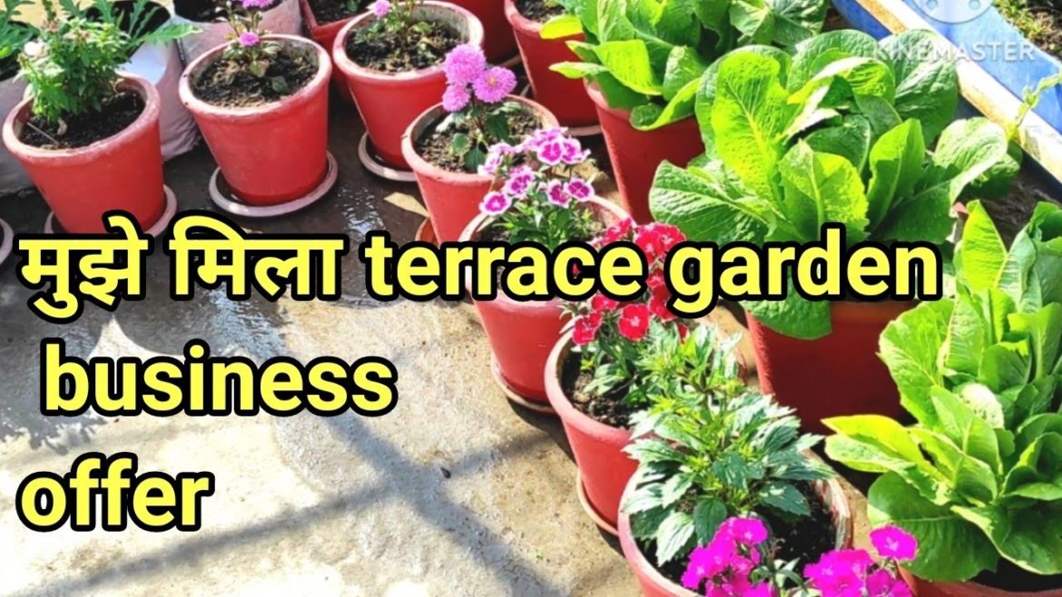 container gardening business start up