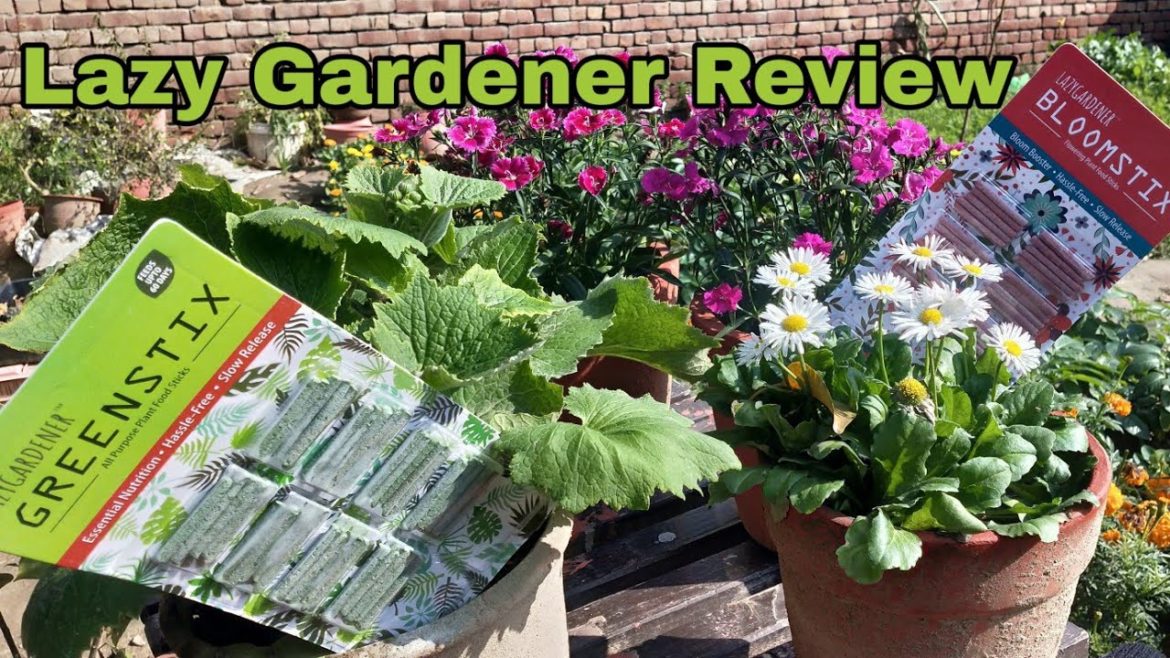 Innovative gardening solution by Lazy Gardener | GreenStix & BloomStix Review Innovative gardening solution by Lazy Gardener | GreenStix & BloomStix Review