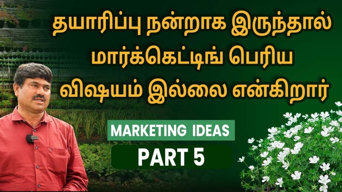 Nursery Business In Tamil – Marketing Plans for a Plant Nursery Business | Sana Ram | @ffreedomapp Nursery Business In Tamil - Marketing Plans for a Plant Nursery Business | Sana Ram | @ffreedomapp