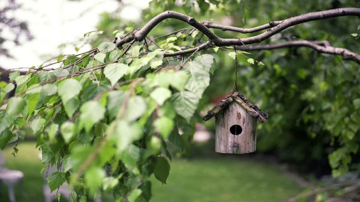 Popular Backyard Activities For Adults