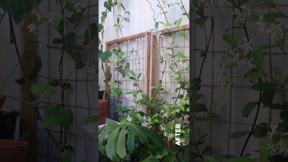 magical courtyard makeover | home and garden ideas | full videos on my channel