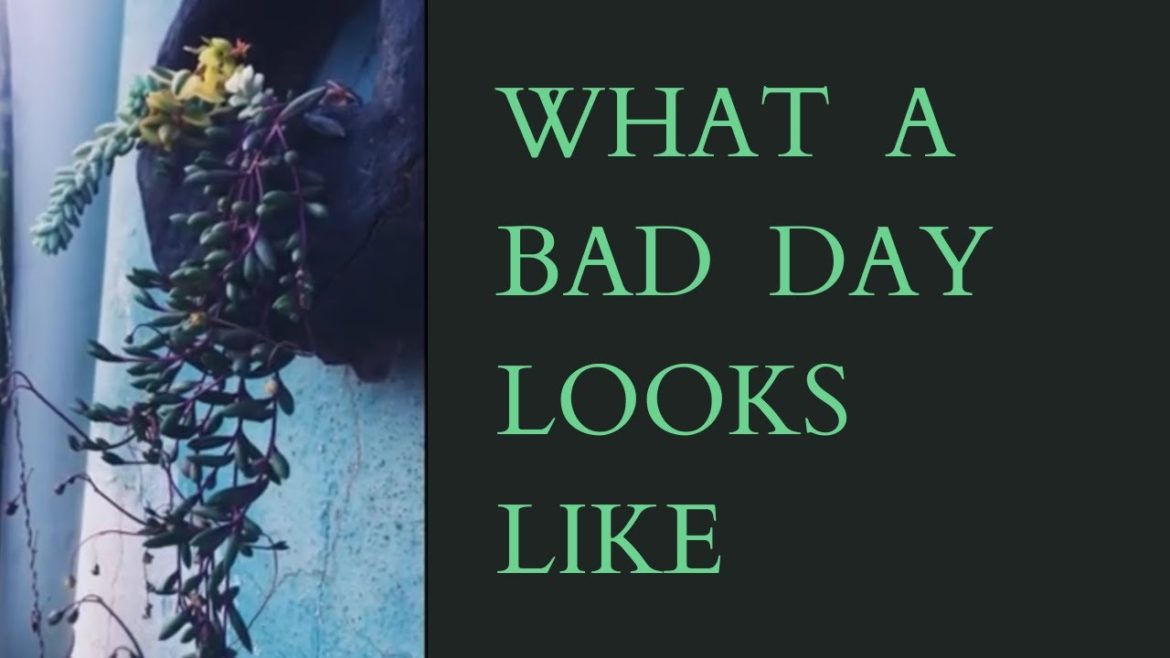 || WHAT A BAD DAY LOOKS LIKE 😏||