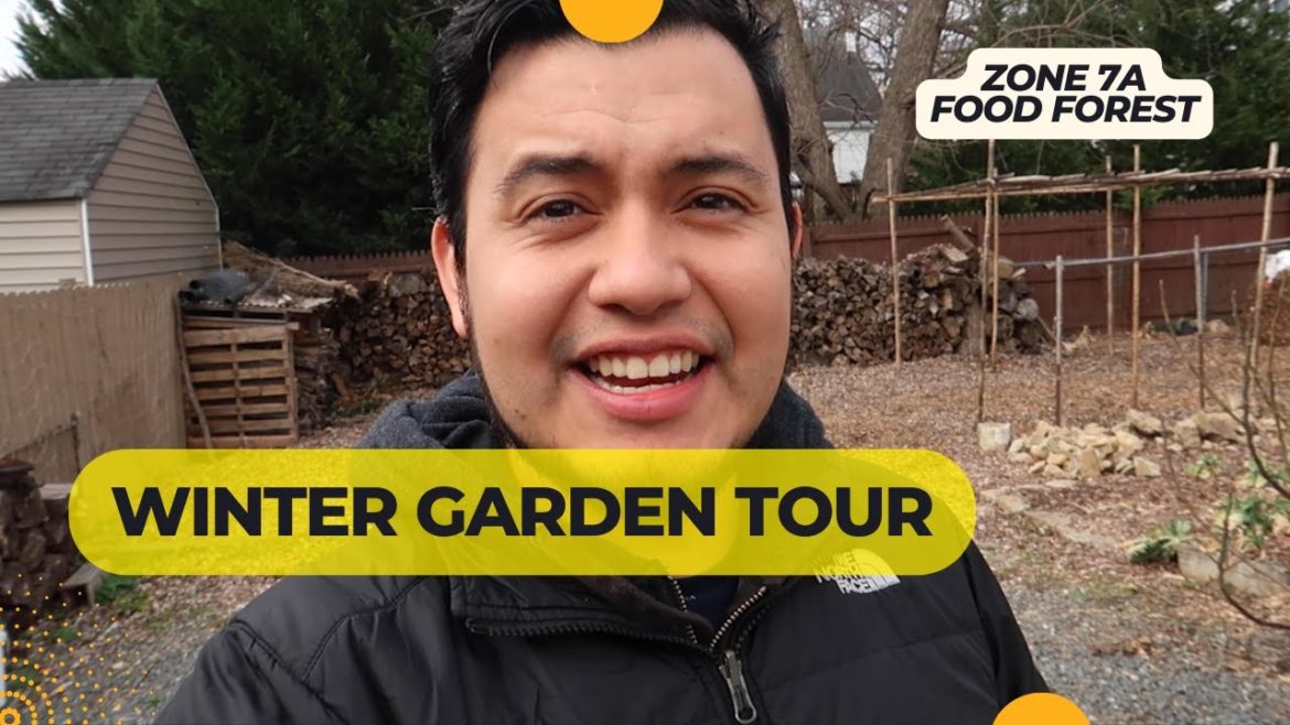 Winter Garden Tour 2023: Zone 7a Food Forest