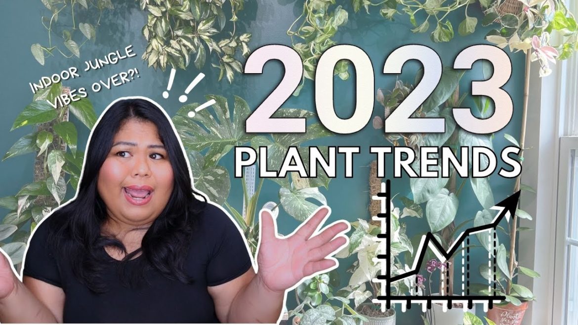 PLANT TRENDS IN 2023: the end of indoor jungle vibes era PLANT TRENDS IN 2023: the end of indoor jungle vibes era
