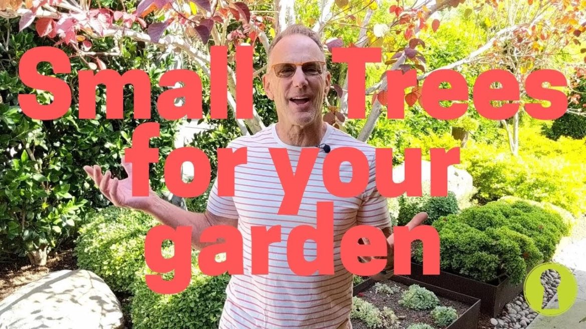 Small Trees 🌳 for Your Small Yard