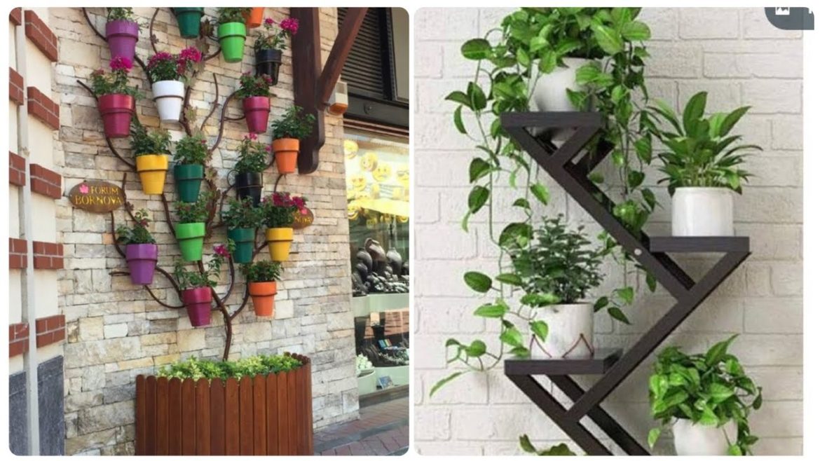 HOME DECOR PLANT DECORATION DESIGN IDEAS 2023 || HANGING PLANT DESIGNS || TRENDING PLANT DESIGNS